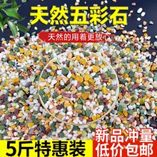 天然彩石鱼缸造景底砂多肉盆栽铺面石子鹅卵石种花装饰五彩小石头