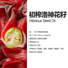 阿甘树初榨洛神花籽油Hibiscus sabdariffa量大价优