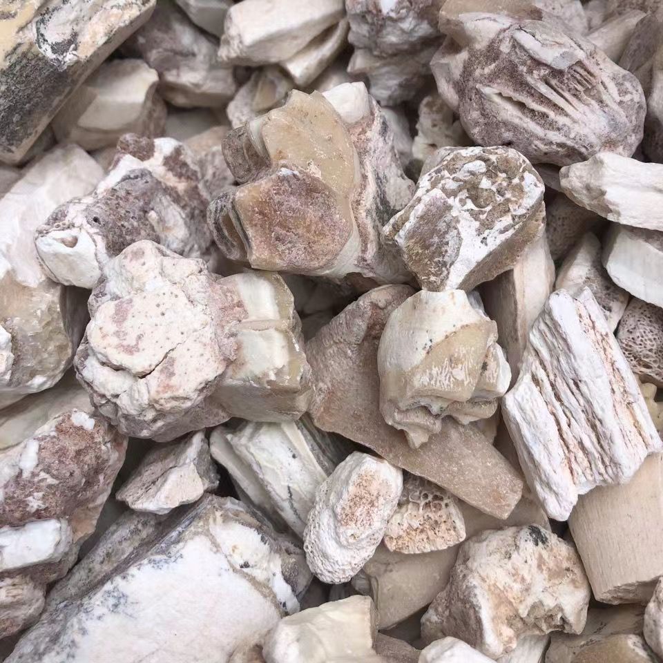 正品宁夏龙骨 龙齿骨500g 生齿骨 青齿骨 白龙齿块个-阿里巴巴