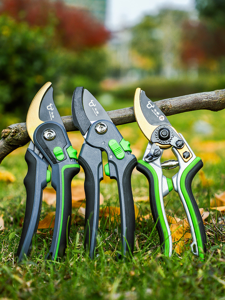 园艺剪不锈钢园林工具大全绿化采果神器花卉剪子专用果树修枝剪刀