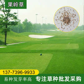 果岭草草籽