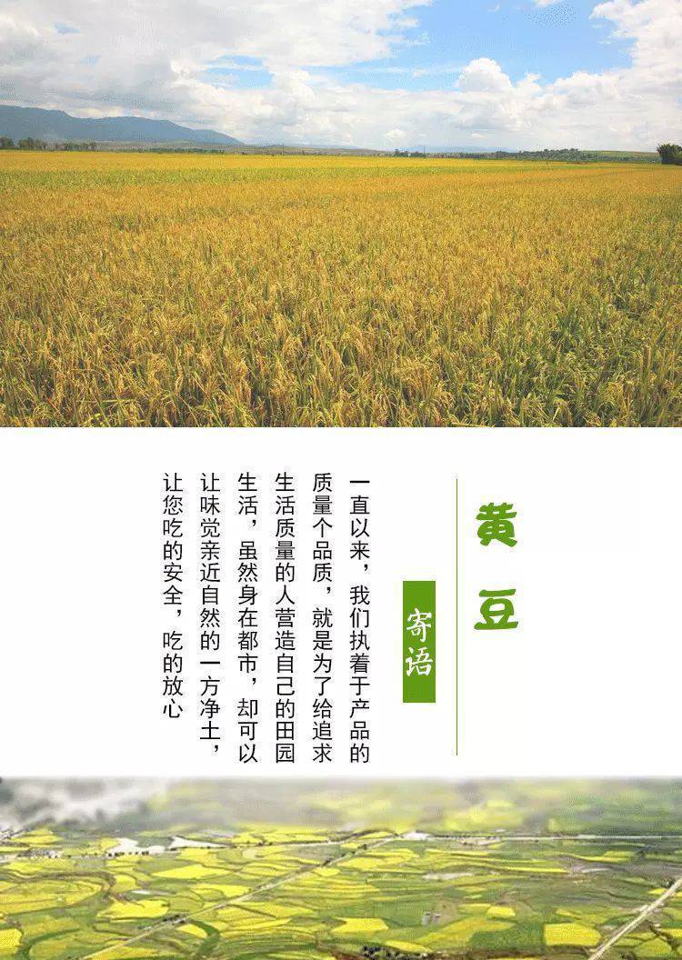 10斤黄豆东北非转基因农家自种黄豆大豆生豆芽打豆浆2斤5斤多规格