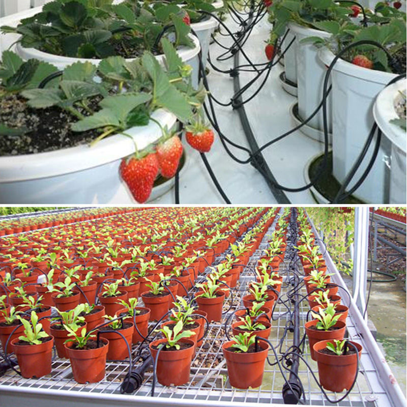 滴灌带大棚温室盆栽滴剑滴管设备滴头果园果树花卉稳流器灌溉批发