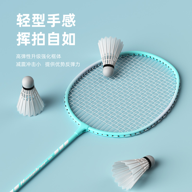 Factory Direct Sales Badminton Racket Double Racket Suit Adult Durable High Elasticity Good-looking Foam Handle Badminton Racket