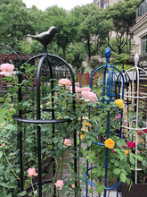 玫瑰爬藤架月季铁线莲阳台庭院绿植铁艺花架户外攀爬欧式植物架子