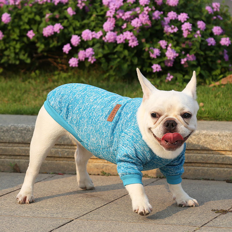 Jarre Aero Bull Pug Dog Cat Pet Clothes Autumn Winter Sweater Two Legs Clothes Supplies Wool Small and Medium Dogs