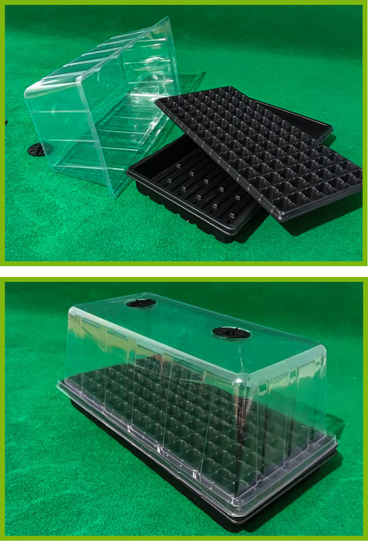 带盖育苗盘托盘 种子托盘 带气孔保温保湿可调育苗盒透明育苗箱