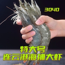 【特大号】鲜活基围虾特大青虾冷冻鲜对虾海虾虾类海鲜水产