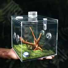 跳蛛饲养盒鸣虫螳螂昆虫亚克力饲养箱造景装饰高清高透小型爬虫