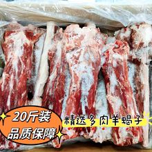 新鲜冷冻美羊羊羊蝎子精选多肉羔羊脊骨整箱20斤装厂家直销羊骨头