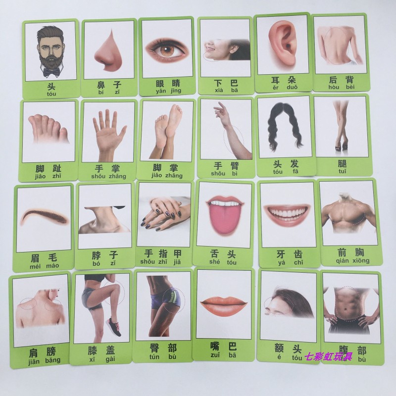 幼儿园早教人体分解图片认知身体五官卡片教学挂图儿童学习用品