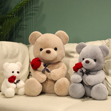 新款卡通玫瑰花泰迪熊毛绒玩具送女生情人节礼物小熊抱枕布娃娃女