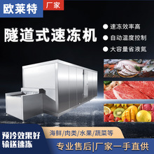 隧道式速冻柜 蓝莓榴莲鸡爪海鲜冷冻设备 大型商用速冻机