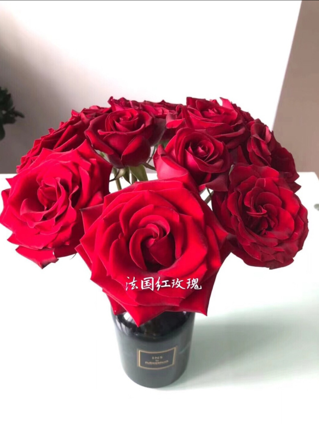 云南昆明鲜花批发 花卉基地鲜切花批发 红色系玫瑰法兰西/法国红