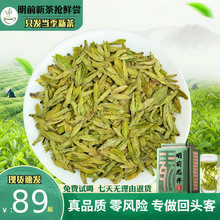 龙井茶2024明前高山云雾头采新茶茶叶绿茶散装大豆浓香型43号罐装