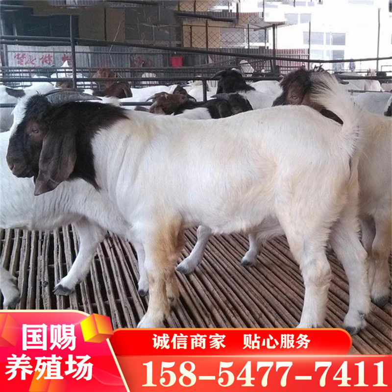 收藏产品价格06600.0006500.0006400.