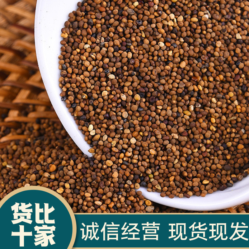 野生菟丝子500g克内蒙兔丝子泡水菟丝子泡茶另售韭菜籽枸杞