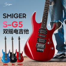 工厂直销  批发S-G5进阶琴双拾音器???性价比高 双摇 24品