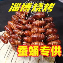 东北特产辽宁柞树蚕蛹新鲜活蛹个大黑蝉蛹黄茧蛹大茧蛹500g 小黑