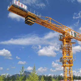 亚泰重工塔式起重机施工升降机可定制