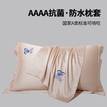 枕套一对装家用儿童枕头套单个枕芯内胆套48cmx74cm整套