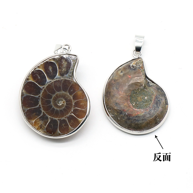 1519-ammonite斑彩螺化石吊坠 斑彩螺包边项链菊石鹦鹉螺化石项链