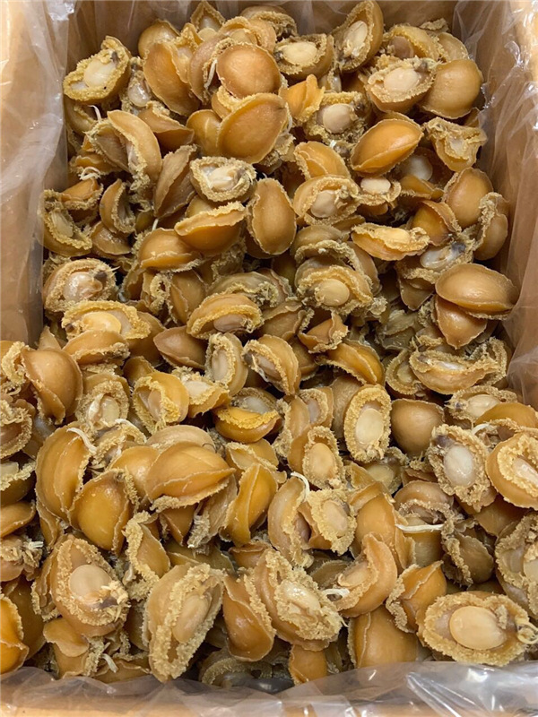 1斤500g大连鲍鱼干干货100头/斤干鲍鱼海产精选500克80-100只左右