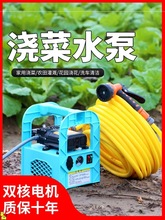 菜园浇水浇菜神器浇水机农用浇地便携式抽水泵家用抽水机浇菜充电