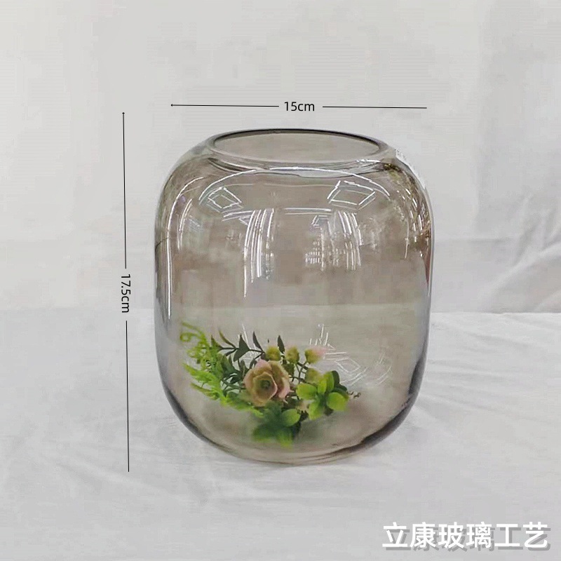 Creative Transparent Glass Vase Hydroponic Flowers Fish Tank Micro Landscape Landscaping Hotel Home Glass Vase Decoration