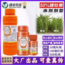 国光矮壮素50%抑灵 花卉玉米辣椒西瓜红薯花生草坪控旺药控旺剂