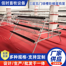 A型阶梯蛋鸡笼 三层五门阶梯蛋鸡笼冷镀锌鸡舍家用养殖场源头厂家