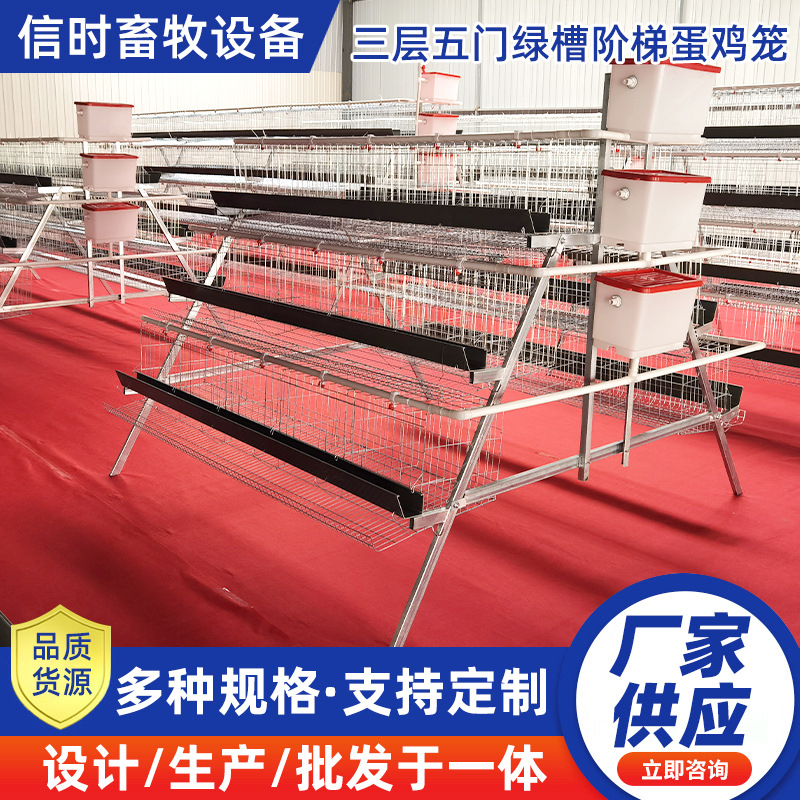 A型阶梯蛋鸡笼 三层五门阶梯蛋鸡笼冷镀锌鸡舍家用养殖场源头厂家
