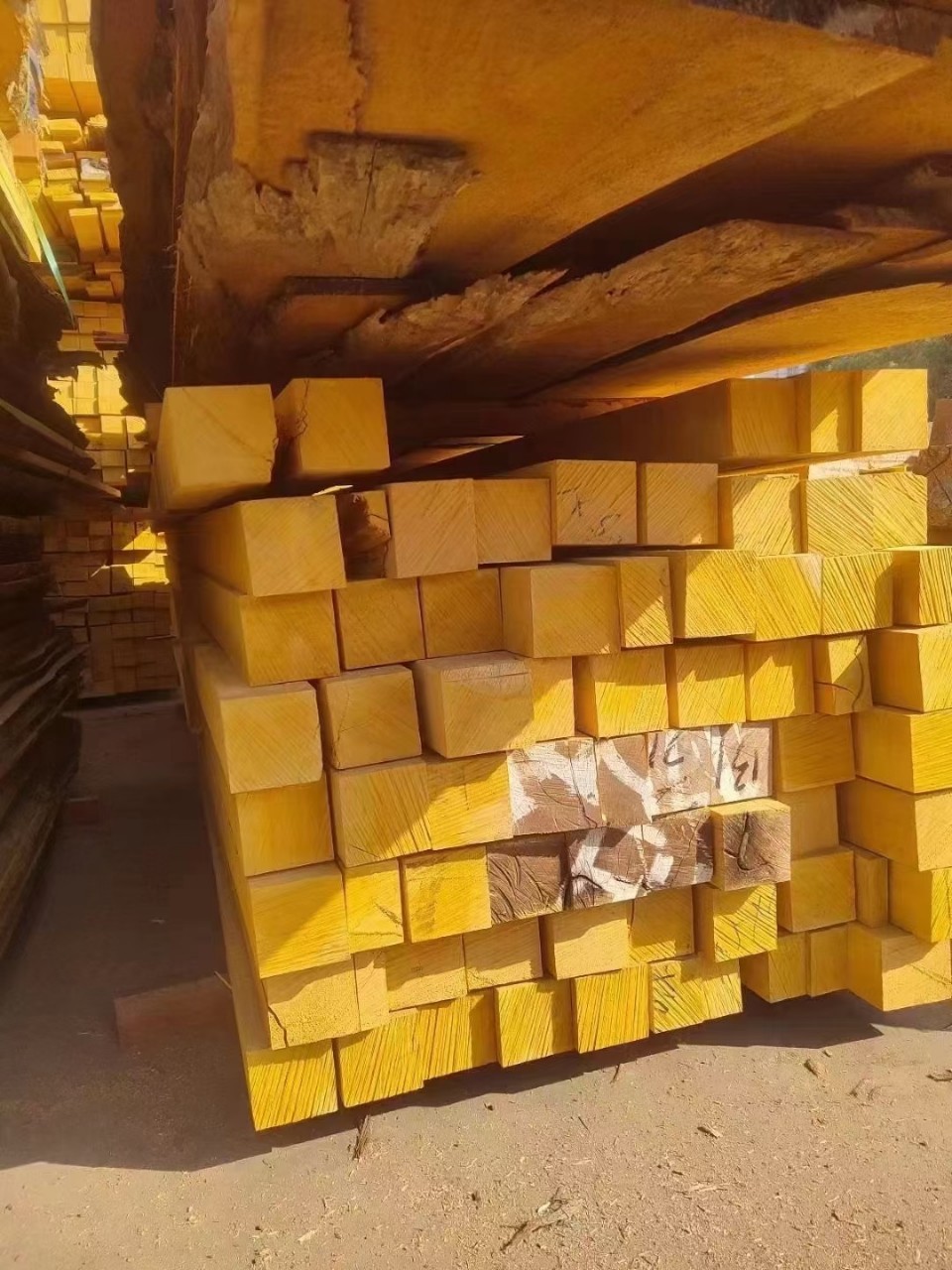 现货供应 黄硬木原木黄乳木 黄檀巴蒂硬乳木黄胆木 加工定制板材