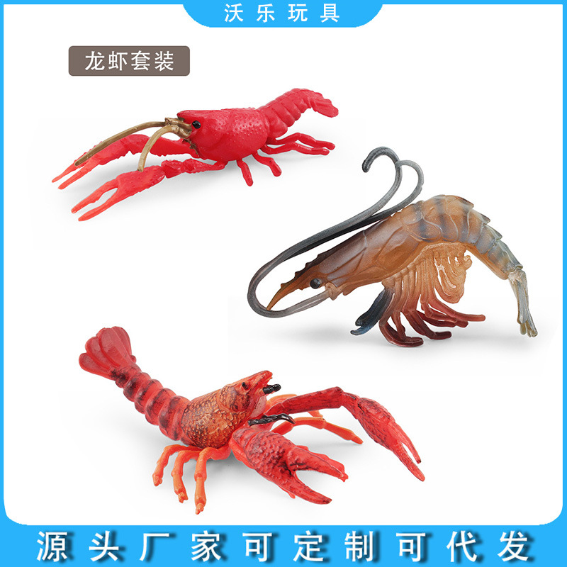 跨境仿真海洋动物淡水虾模型红螯虾小龙虾水晶虾长臂虾实心摆件