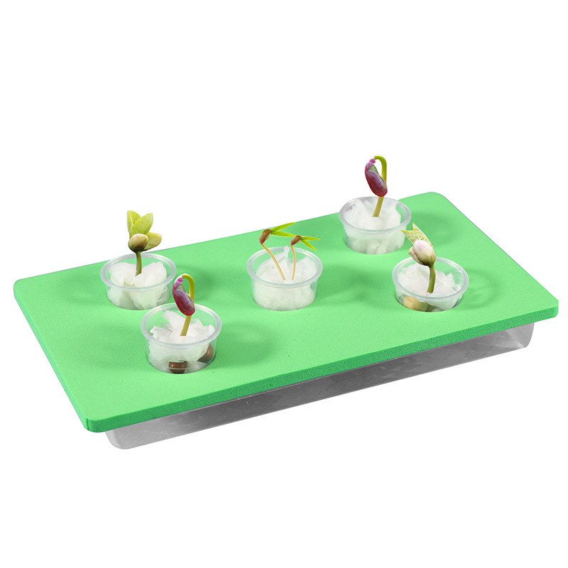 学生科学实验玩教具儿童科技小制作发明材料益智diy手工种子发芽