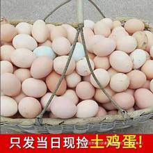 【40枚装】农家散养大个土鸡蛋10-40枚新鲜笨鸡蛋整箱包邮