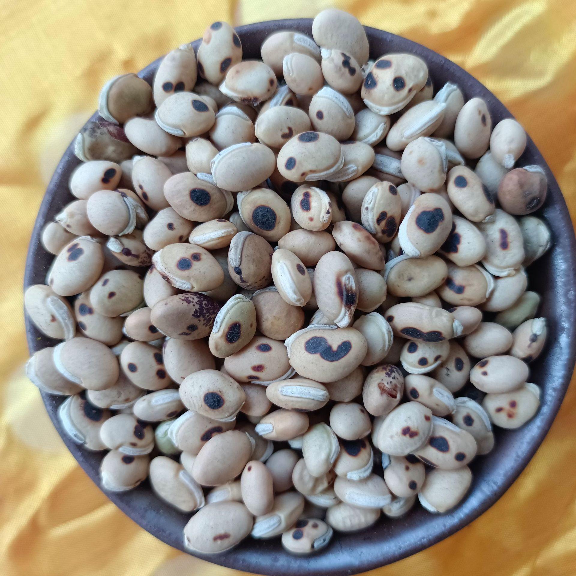 扁豆 炒扁豆中草药扁豆批发直销【文杰药业】【炒扁豆】新货上市