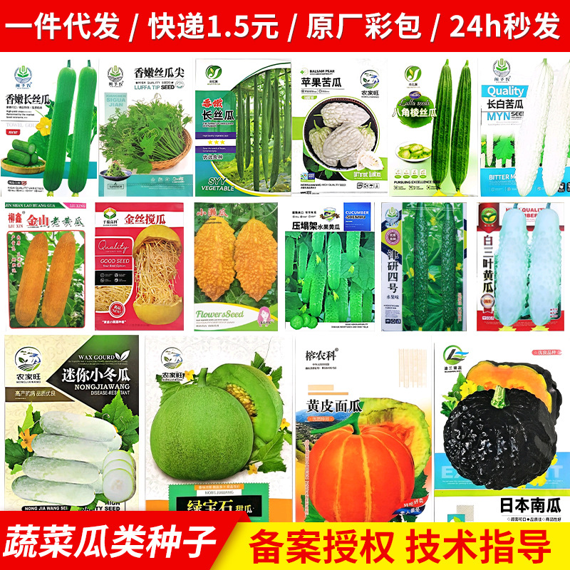 瓜果类种子大合集 当季丝瓜苦瓜白玉瓜农家新鲜时令蔬菜 现货