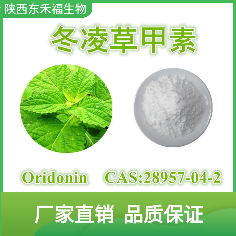 冬凌草提取物冬凌草甲素98oridonin28957042延命草宁