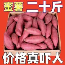 【超低价】蜜薯红薯新鲜黄心板栗薯地瓜西瓜红芋头1/10斤蔬菜批发