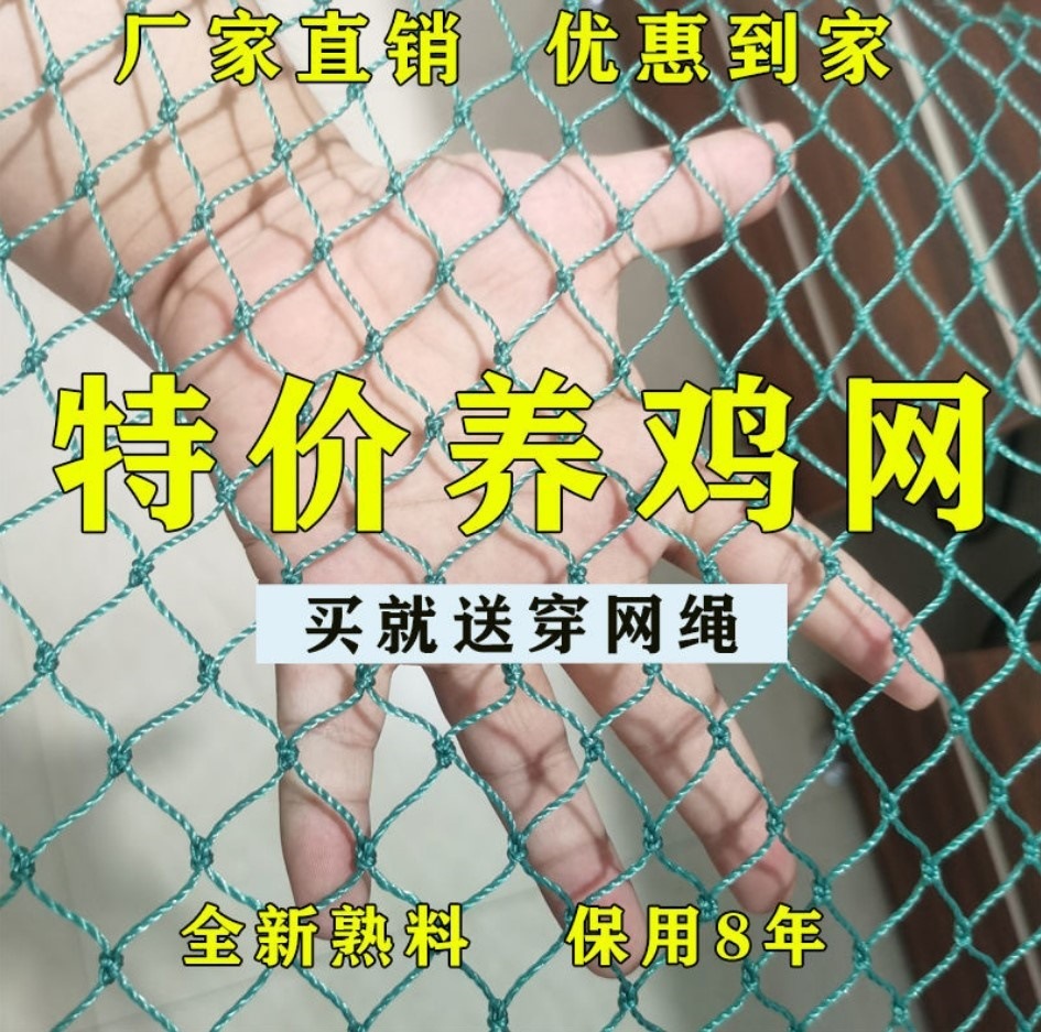 批发养鸡围栏网塑料尼龙养殖网家用圈拦隔离编织网防逃合股软丝防