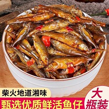 湖南产香辣柴火鱼干下饭菜零食火培鱼下酒菜小鱼仔辣椒酱拌饭酱