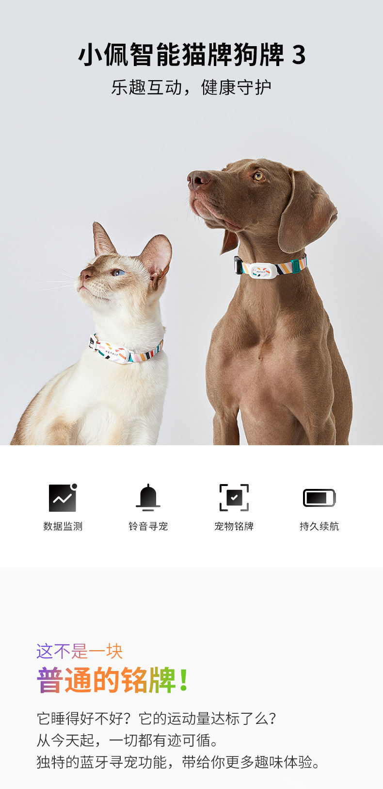小佩petkit宠物智能猫牌狗牌狗狗活动检测穿戴项圈蓝牙寻猫