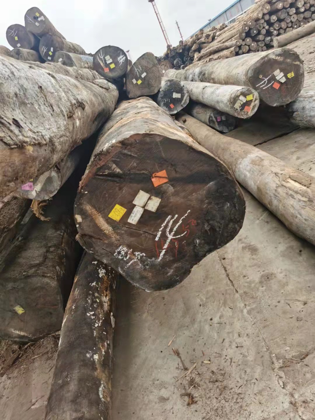 【龙凤黑檀】苏里南龙凤檀 原木 板材工程料 建筑工程园林古建