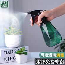 喷壶消毒酒精喷雾瓶园艺浇花洒水壶气压式家用清洁喷水壶