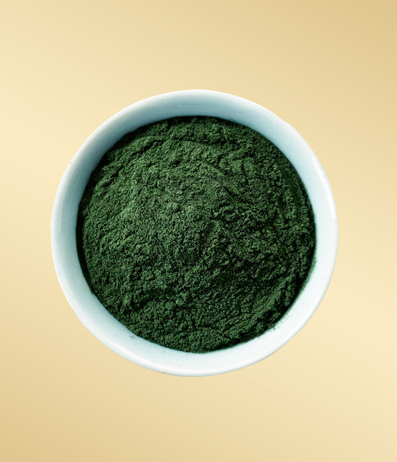 螺旋藻粉 海藻粉 螺旋粉 螺旋藻粉食品级 海藻粉批发 提供样品