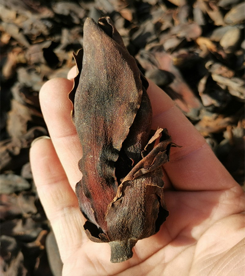 批发中药材 厚朴花 散装500克-阿里巴巴