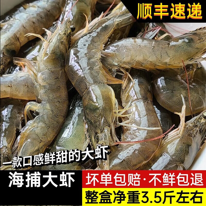 十里馋 江苏连云港新鲜海捕大虾鲜活速冻大对虾活虾青虾明虾海虾