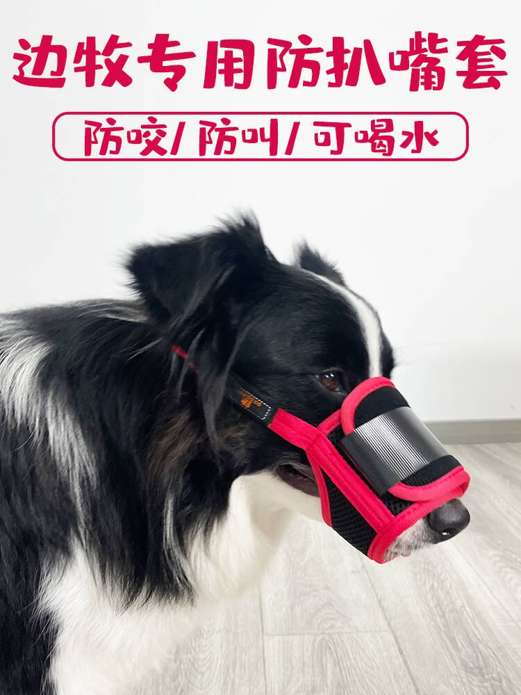 边牧狗狗专用嘴套宠物口罩防咬防乱吃叫嘴罩护嘴巴套可喝水大型犬