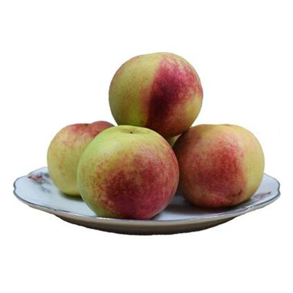 冬雪蜜桃冬桃山东现货桃子新鲜水果桃子青州水蜜桃毛桃现摘现发